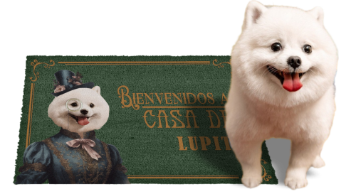 felpudos