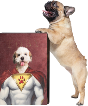 superheroes